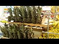 HiperMais: hoje é a 4ª feira-verde, com hortifruti bem fresquinho a preços promocionais.