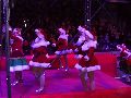 COLUNA VIAGEM: NATAL LUZ EM GRAMADO/RS
