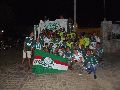 FORZA VERDE LIVRAS COMEMORA O 101º ANIVERSÁRIO DO PALMEIRAS