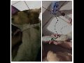SEM DINHEIRO PRA COMPRAR RAÇÃO, A ONG APA PEDE SOCORRO!