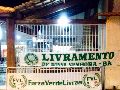 LIVRAMENTO: TORCIDA ORGANIZADA DO PALMEIRAS APRESENTA SEU NOVO UNIFORME