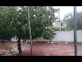 LIVRAMENTO: CHUVA ANIMA A CAPITAL DA MANGA