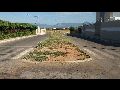 LIVRAMENTO: CANTEIRO CENTRAL DA RUA JOSÉ MARIA TANAJURA PRECISA DE LIMPEZA PÚBLICA E PAISAGISMO