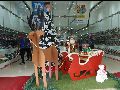 REAL CALÇADOS E CONFECÇÕES ABRE O NATAL COM MUITO ESTILO; VENHA CONFERIR AS NOVIDADES!
