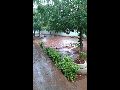 LIVRAMENTO: CHUVA ANIMA A CAPITAL DA MANGA