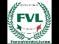 LIVRAMENTO: projeto social da torcida organizada do Palmeiras distribui cestas básicas para famílias carentes no Bairro Benito Gama.
