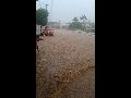 LIVRAMENTO: CHOVEU MAIS DE 100 MM ESTA SEMANA; PREVISÃO DO TEMPO INDICA MAIS DE 60 MM ATÉ DOMINGO
