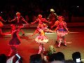 COLUNA VIAGEM: NATAL LUZ EM GRAMADO/RS