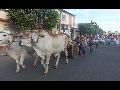 LIVRAMENTO: ESCOLA MUNICIPAL RÔMULO GALVÃO REALIZA DESFILE ALUSIVO AO DIA DO FOLCLORE