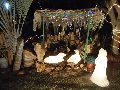 LIVRAMENTO: PRAÇA DOM HÉLIO PASCOAL RECEBE ILUMINAÇÃO DE NATAL