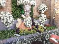 Solenidade da Transfiguração do Senhor