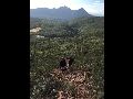 ACADEMIA GYM PARK PROMOVE TRILHA PARA O MORRO DA TORRE