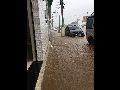 LIVRAMENTO: CHOVEU MAIS DE 100 MM ESTA SEMANA; PREVISÃO DO TEMPO INDICA MAIS DE 60 MM ATÉ DOMINGO