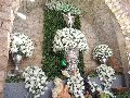 Solenidade da Transfiguração do Senhor