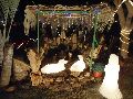 LIVRAMENTO: PRAÇA DOM HÉLIO PASCOAL RECEBE ILUMINAÇÃO DE NATAL