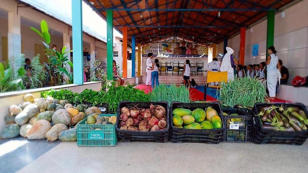 CONJUNTO PENAL DE BARREIRAS DOA MEIA TONELADA  (502kg) DE ALIMENTOS FRESCOS DA HORTA PARA A INSTITUIÇÃO CÁRITAS DIOCESANA DE BARREIRAS 