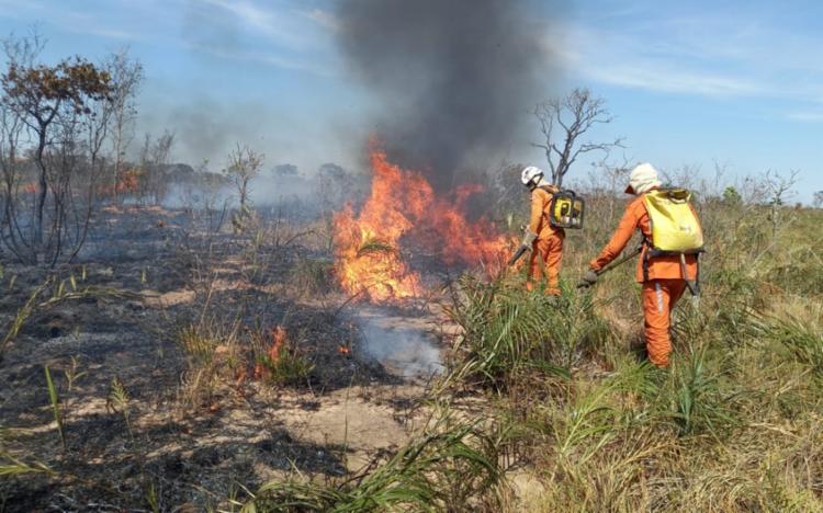 Incêndios atingem áreas em cidades da Chapada Diamantina