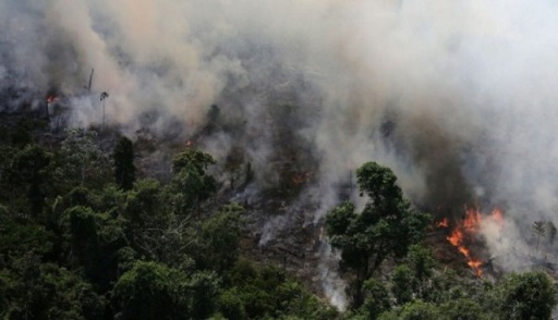 Ministro do Meio Ambiente diz que seca e calor ampliam queimadas