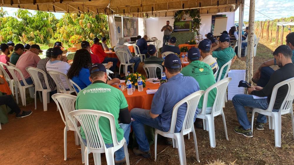 Livramento: II Manga em Foco foi realizado com sucesso e grande público