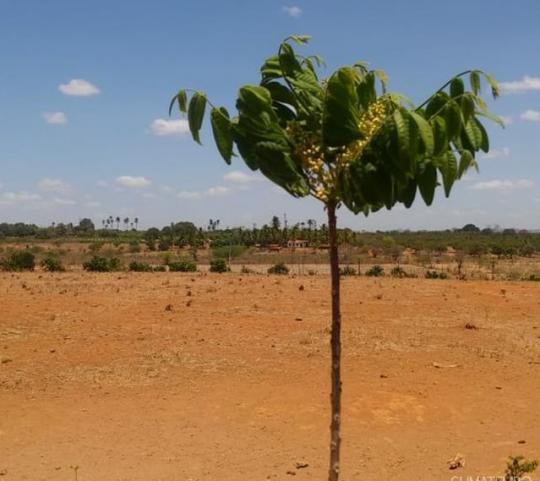 Primeiro fim de semana de Junho de muito sol no Nordeste
