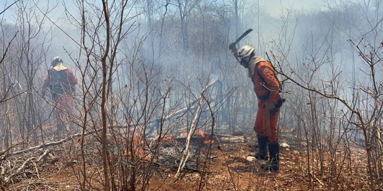 Chapada: Mais de 70 bombeiros atuam no combate de incêndios florestais na região chapadeira