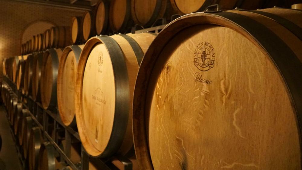 Expedição Vinhos da Bahia tem lançamento de episódios neste domingo