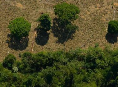 Desmatamento cresceu 20% em 2021 e afetou todos os biomas do país, diz levantamento