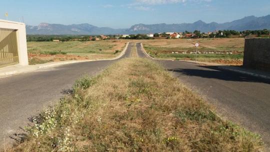 LIVRAMENTO: CANTEIRO CENTRAL DA RUA JOSÉ MARIA TANAJURA PRECISA DE LIMPEZA PÚBLICA E PAISAGISMO