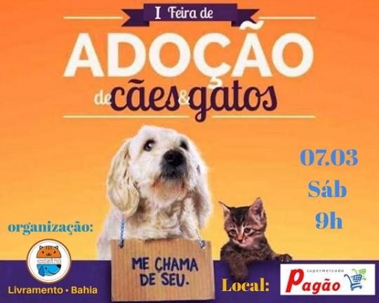 1ª FEIRA DE ADOÇÃO DE CÃES E GATOS ACONTECE NO SÁBADO (07) EM LIVRAMENTO DE NOSSA SENHORA