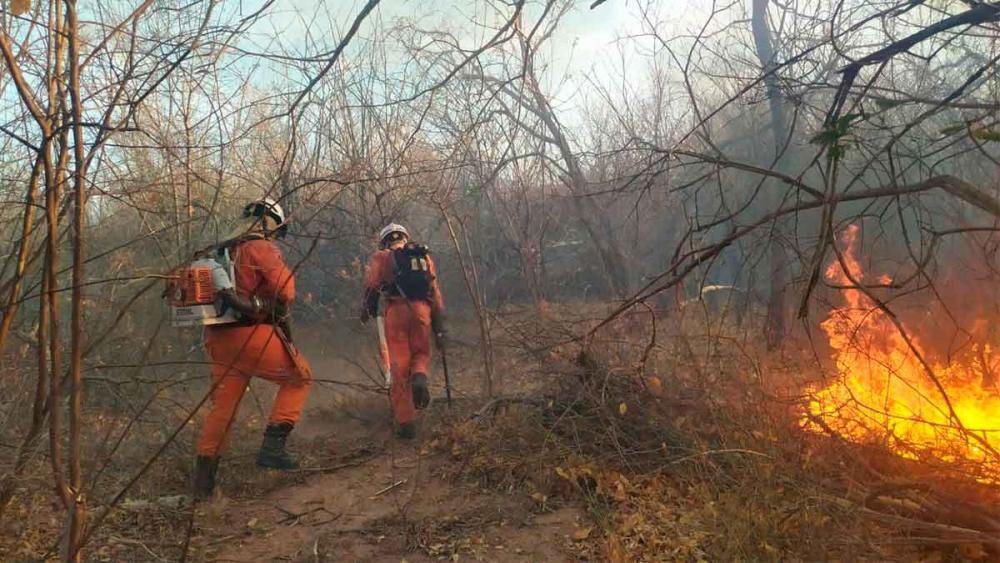 Bombeiros atuam no combate a incêndios em três regiões da Bahia