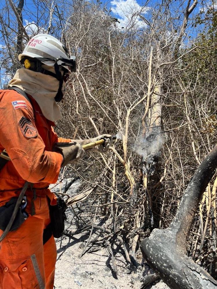 Corpo de Bombeiros controla incêndio na Serra do Candombá, na Chapada Diamantina