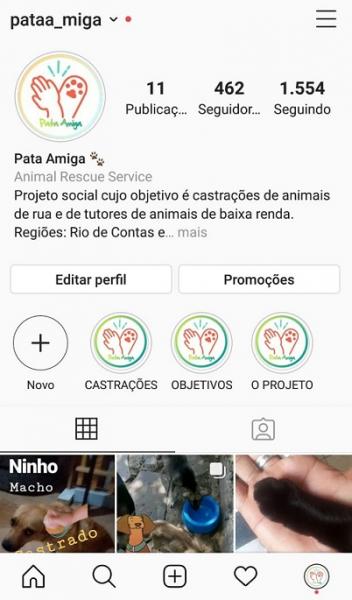 PARTICIPE DO PROJETO PATA AMIGA AJUDANDO NAS CASTRAÇÕES DE ANIMAIS DE RUA
