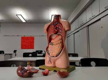 Brasil é o segundo maior transplantador de órgãos do mundo
