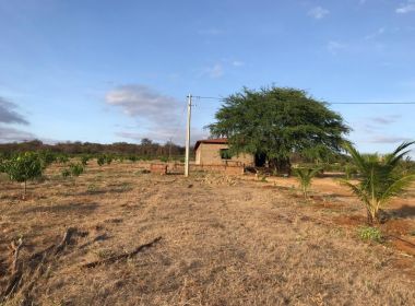 Livramento de Nossa Senhora: PF deflagra operação em fazenda de maconha