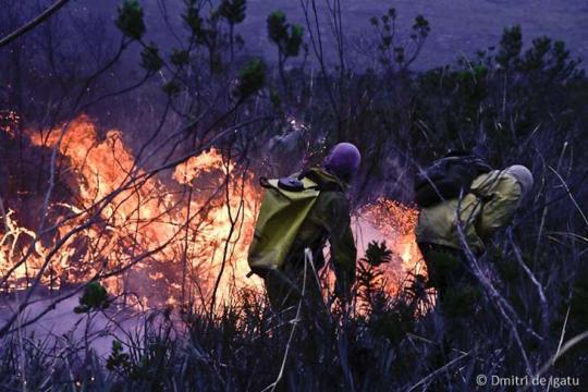 Chapada: Fogo em Ituaçu sai do controle e brigadistas pedem ajuda para o combate
