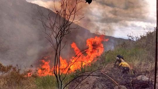 Fogo na Chapada: Incêndio consome flora na região fronteiriça da Chapadinha