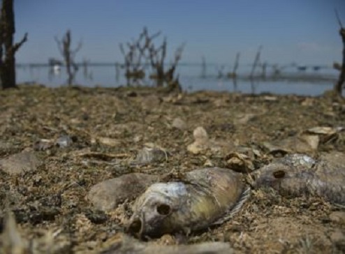 Um terço da região Nordeste enfrenta grau mais elevado de seca
