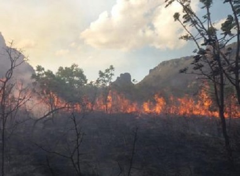 Piatã: Incêndio atinge vegetação no Vale dos Três Morros; área abriga afluentes de rios
