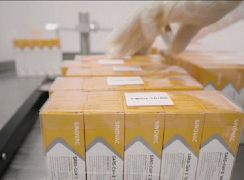 Coronavac produz anticorpos contra a Covid-19 em 97% dos participantes, aponta estudo