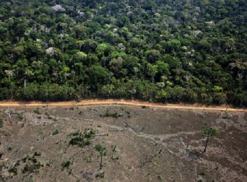 Amazônia registra em junho aumento de 88% no desmatamento comparado a 2018