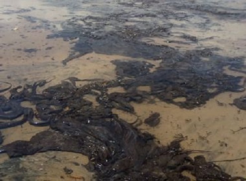 Quinze municípios baianos têm decreto de emergência devido às manchas de óleo