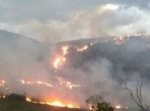 Rio de Contas: Fogo atinge área de vegetação e destrói 540 hectares
