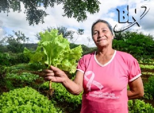 Governo da Bahia confirma adesão a garantia safra de 2020: 'Agricultor não sofrerá dano'