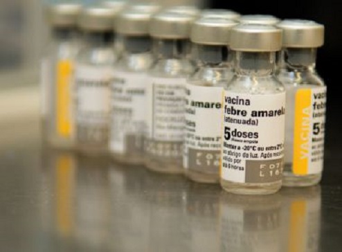 Febre amarela: 2,6 milhões de pessoas ainda precisam se vacinar na Bahia