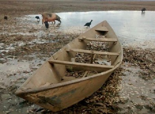 Lagoa marginal do rio São Francisco seca e deixa 3 milhões de peixes mortos na Bahia