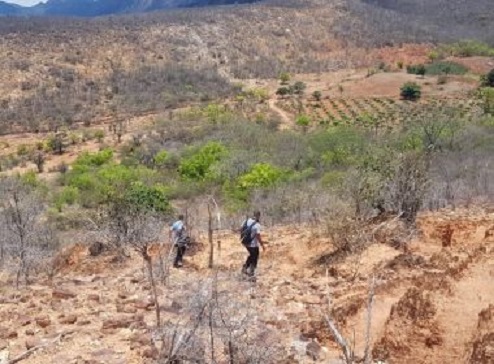 Chapada Diamantina: Incêndio florestal em Rio de Contas é controlado por bombeiros