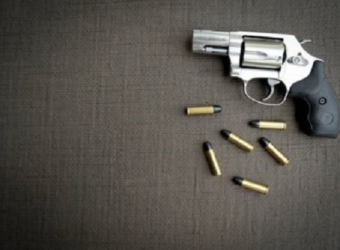 Quase 140 mil armas de fogo foram registradas no Brasil de janeiro a junho de 2020