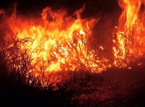 Incêndios destroem áreas de vegetação em Brejões e Vitória da Conquista