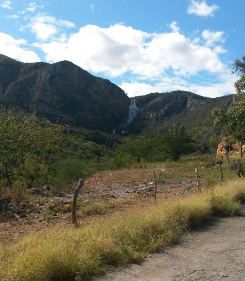 SABIÁ 