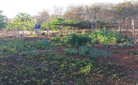 CONTRIBUA PARA CONSTRUÇÃO DA CASA DO IDOSO DE LIVRAMENTO DE NOSSA SENHORA